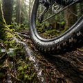 Schwalbe Faltreifen HANS DAMPF 27.5x2.35 ADDIX Performance auf feuchtem Wurzelweg im Wald.