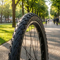 Schwalbe Land Cruiser Plus Reifen 24x2.00" schwarz Reflex E-25 HS450 Draht auf sonnigem Fahrradweg mit Radfahrern.