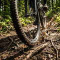 Robustes DT Swiss E 1900 SPLINE Enduro-Laufrad 29" auf schlammigem Mountainbike-Trail im Wald.