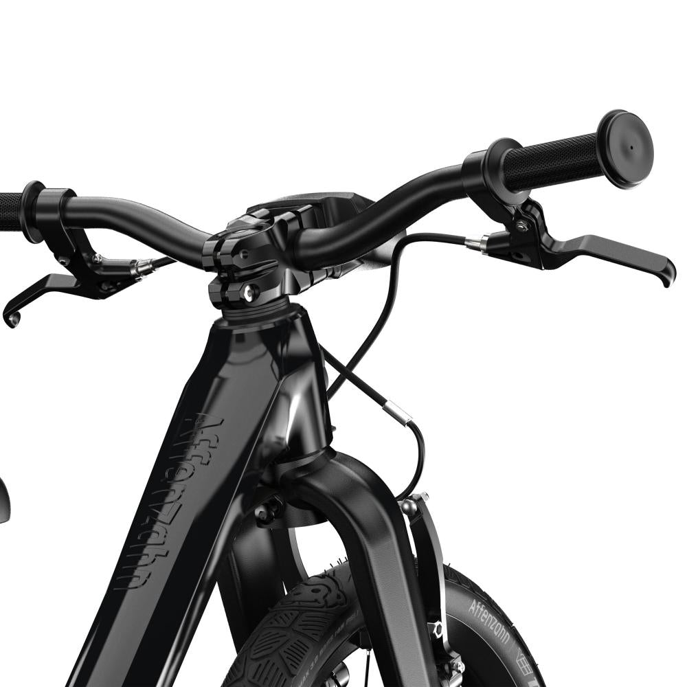 AFFENZAHN Kinderfahrrad Panther Schwarz 16 Zoll