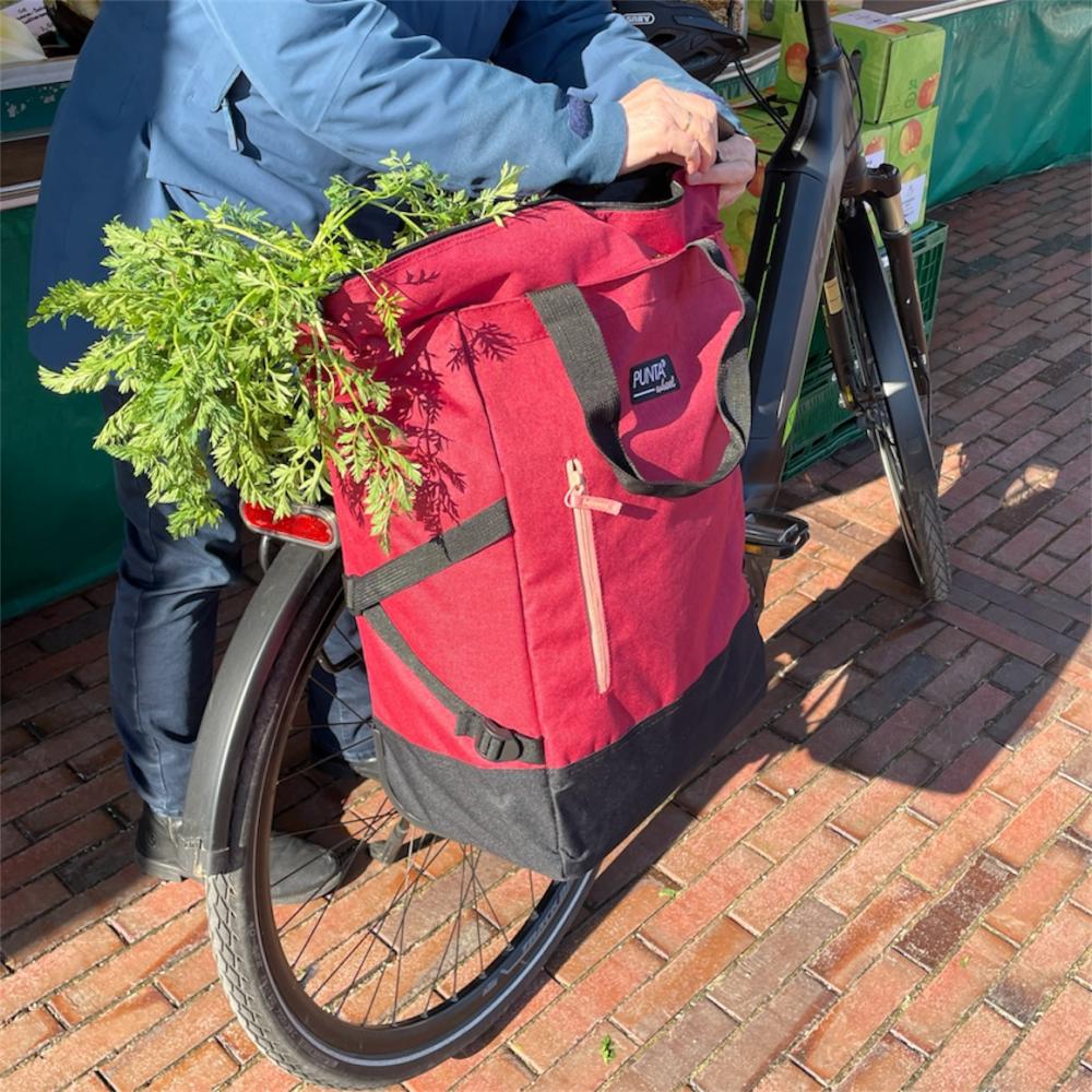 Haberland Fahrrad-Trolley anthrazit/schwarz petrol - komfortabler Transport am Rad und zu Fuß
