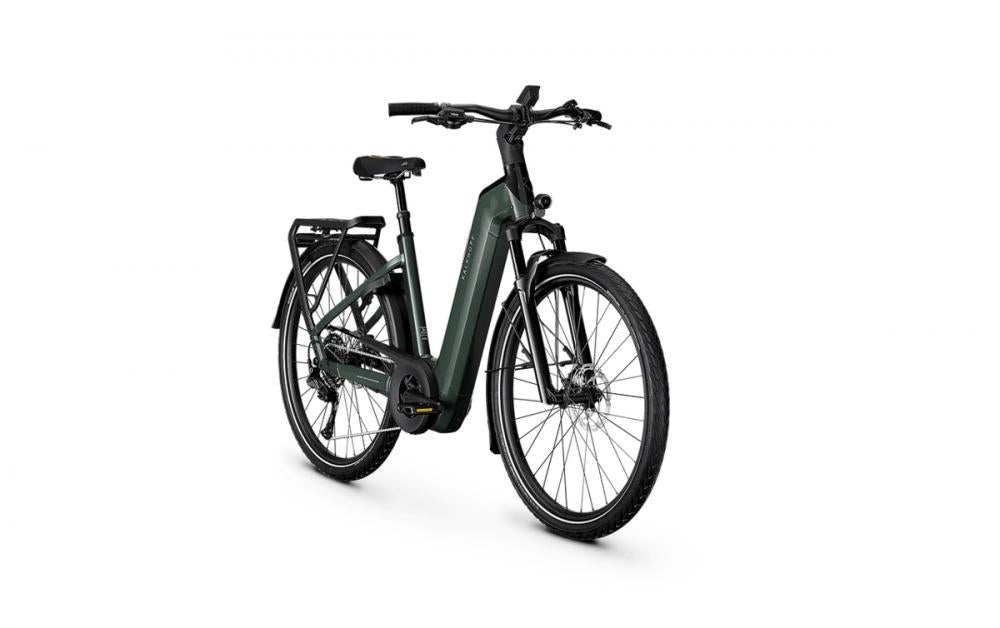 Kalkhoff ENDEAVOUR 5+ ADVANCE 29in Wave M techgreen / diamondblack glossy - kraftvolles E-Trekkingbike