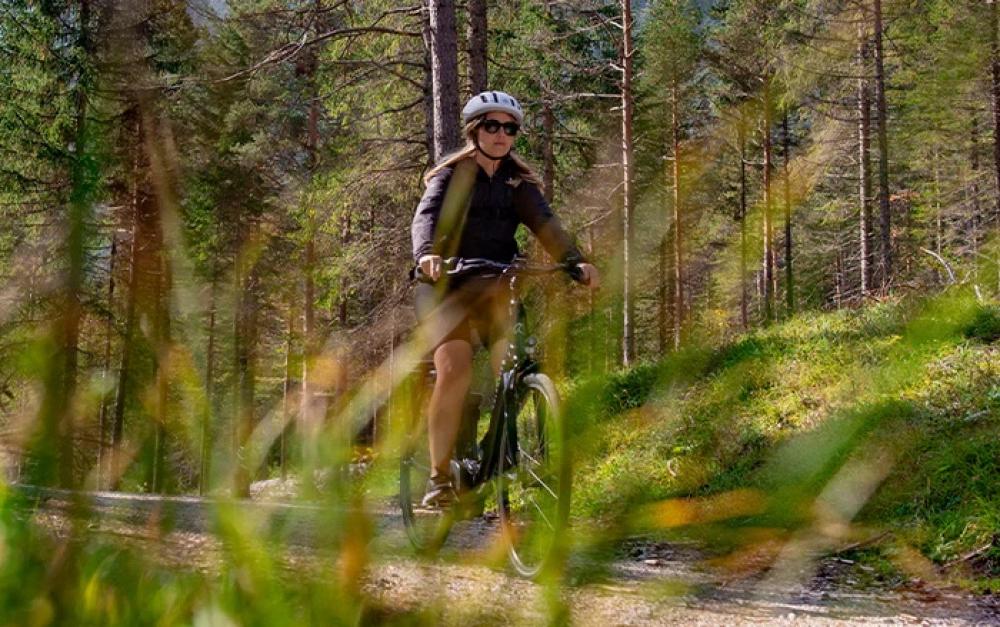 Selle Royal Lookin Evo Relaxed Fahrradsattel Unisex - Maximaler Komfort für City & Trekking