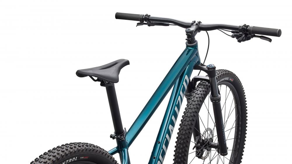 Specialized Rockhopper Expert 29" XXL - Mountainbike in Emerald Met/Shadow Silver