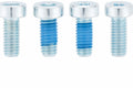Vier SRAM Torx Zylinderkopfschrauben für Bremstrommel, zwei mit blauer Schraubensicherung.