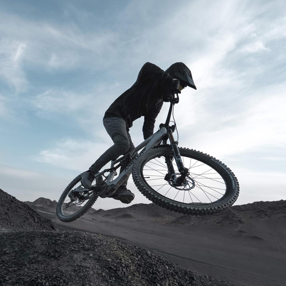 Amflow PX Carbon Pro E-MTB L - 700 Wh, Avinox M2S, Mondstein-Grau