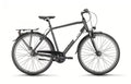 VICTORIA Trekkingrad "TREQANA 1" (#1), Diamant, 28", carbonite grey, 7-Gang SHIMANO "Nexus" RBN, 48 cm / S