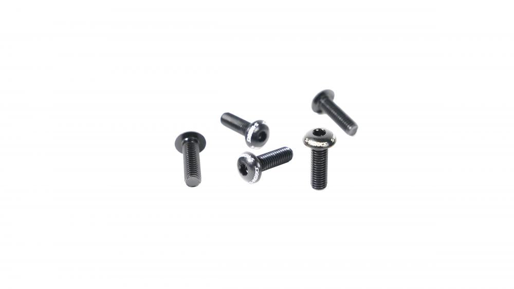 S-WORKS Flaschenhalter Schrauben Set - M5x0.8x16mm Aluminium (5 Stück) - BLT S-WORKS WATER BOTTLE CAGE BOLTS, M5X0.8PX16L, ALLOY (5 PCS)