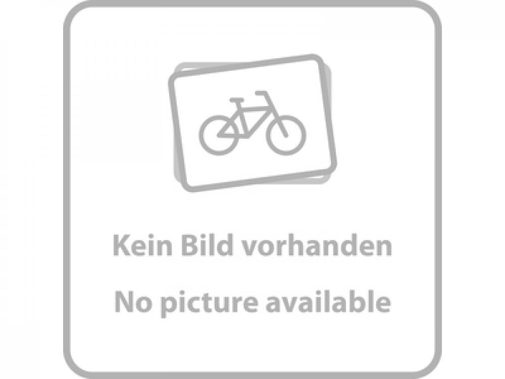 SRAM Freilaufkörper MTH 746 9-/10-fach - zuverlässiger Austausch-Freilauf für Hinterradnaben