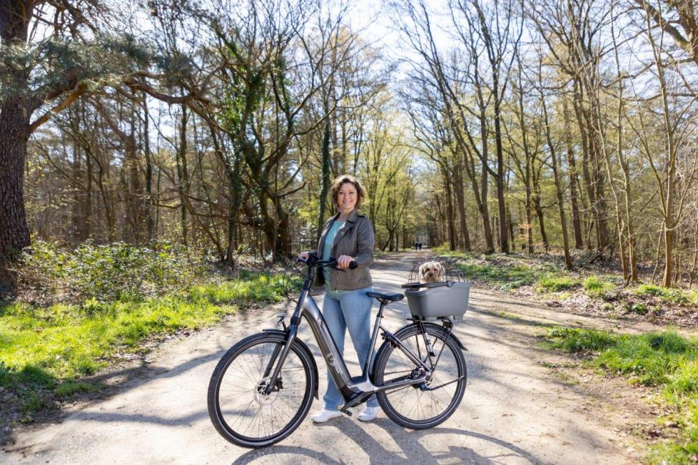 New Looxs Fahrradkorb Clipper Racktime 2.0 Grey Grey - praktische, zeitgemäße Transportlösung