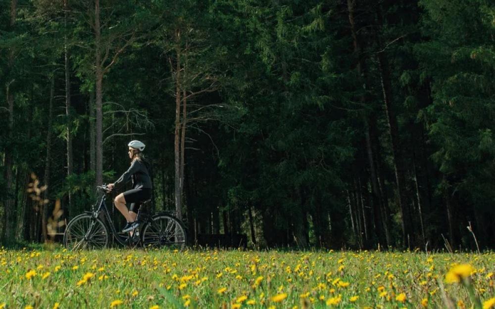 Selle Royal Vaia Relaxed Fahrradsattel - 250 x 213 mm Schwarz