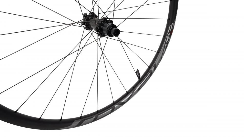 Roval Control SL 29 Hinterrad 148mm - Charcoal Decal Mountainbike Laufrad