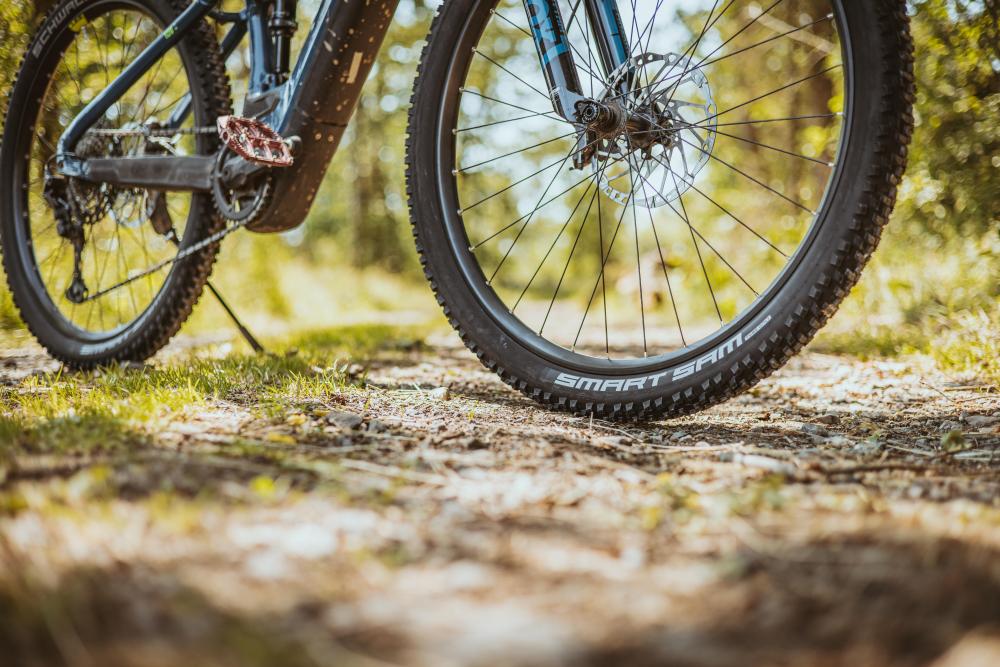 Schwalbe Smart Sam Performance Drahtreifen 29 Zoll auf einem Mountainbike-Laufrad auf einem sonnigen Waldweg.