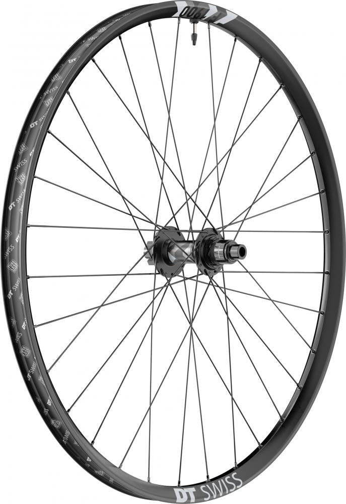 Schwarzes DT Swiss F1900 Classic 29" Vorderrad, robust für Bikepark, mit Nabe und Speichen.