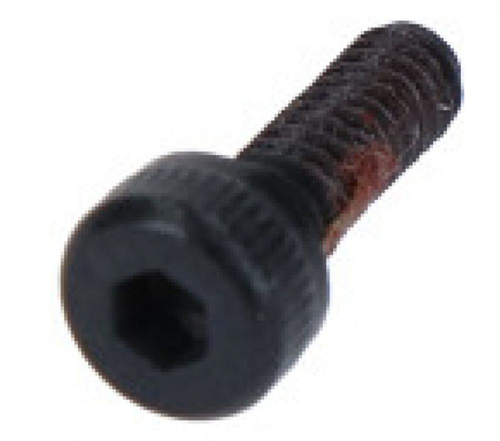 SHIMANO Schraube M2 für Fixierungskappe L ST-R9180 - Ersatzschraube, 1 g