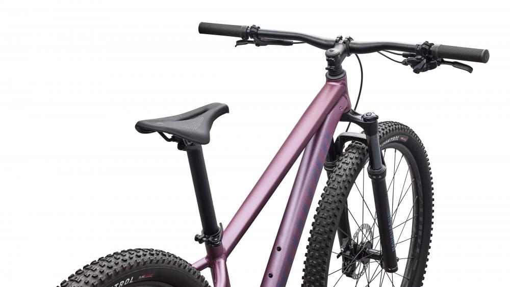 Specialized Rockhopper Expert Hardtail MTB 29 Zoll - Quartz Metallic/White Größe S - Mountainbike
