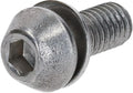 SHIMANO Klemmschraube FD-M8020-D M6x16mm - 6x16mm, 16mm