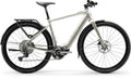 Centurion Speeddrive R2000 D EQ EP1 L / (53) Grau - komfortables Trekking E-Bike