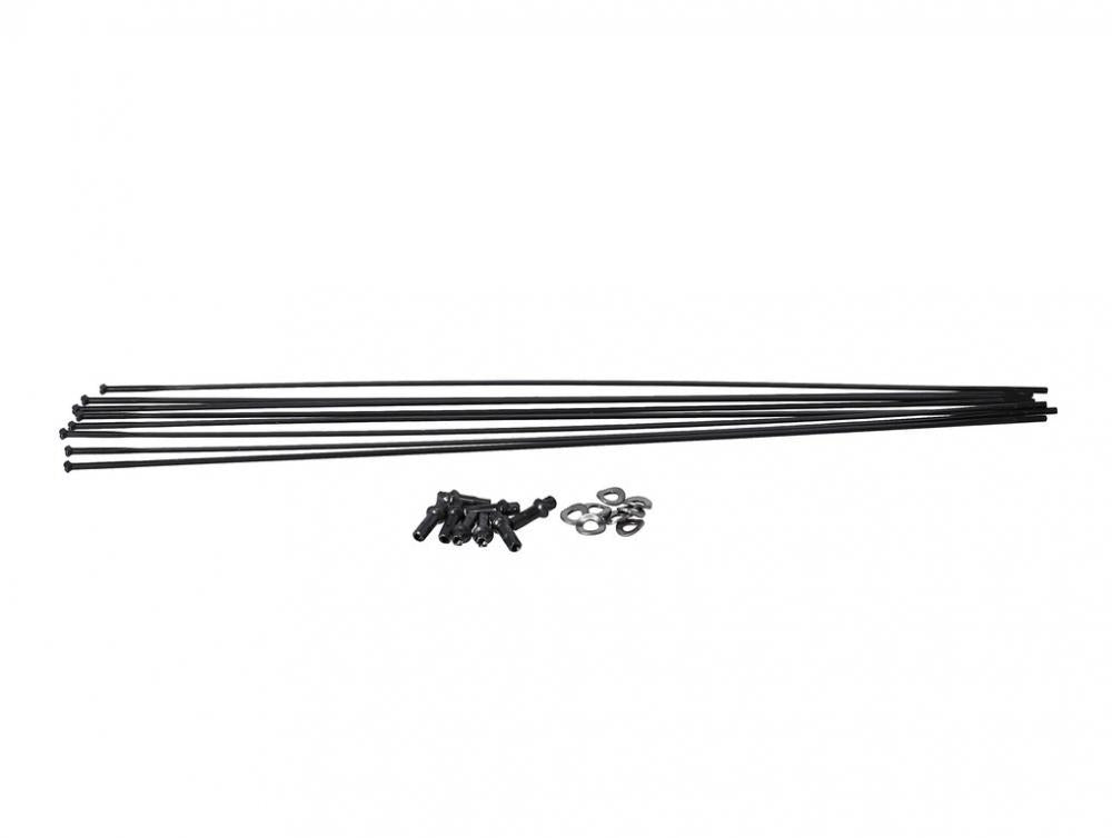 DT Swiss Speichenkit für PR1400 DICUT VR/HR 21 mm schwarz - präziser Laufradservice