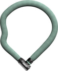 ABUS Goose Lock 4204K/110 Kettenschloss 110 cm Mint