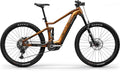 CENTURION Numinis R2600i EP2 625 Wh - torino gold - S 41 cm
