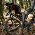 RockShox Charger 3.1 RC2 Crown Dämpfer Upgrade Kit mit Butter Cups für ZEB A1+ Gabeln. MTB Federung, Performance, Tuning.