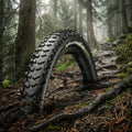 Continental Mountain King 29er Reifen (schwarz) auf schlammigem Waldboden mit Wurzeln und Pfad im Hintergrund.
