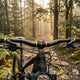 Ergotec, Lenker, Low Riser Bar 6+ Gold Edition, Durchmesser 31.8mm, Griffweite 780mm, Grifflänge 230mm, Rise 15mm, Back-Sweep 12°/+5° Up-Sweep, AL7050 T76, 1.85-2.8-1.85, Safety-Level 6+, Farbe schwarz sand/gold, Gewicht ca. 380g, (Herst.-Nr. 16762101)