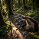 XLC Trailtool Solution (TTS) Set TO-M23 - Multifunktions-Werkzeugset für Mountainbike und Trail