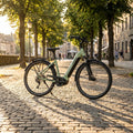 Winora Yucatan X10 LOW E-Bike in Pistazie. Komfortabler Tiefeinsteiger mit 800Wh Akku für lange Touren und Stadtfahrten.