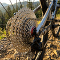 SunRace CSMX3 TAY 10-fach Kassette 11-42 Zähne silber am Mountainbike-Hinterrad.