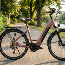 Winora TRIA X9 LOW i500Wh 9-G Cues - E-City Bike