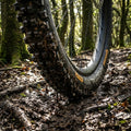Continental Argotal Enduro Supersoft MTB Reifen 29 Zoll. Maximaler Grip auf losem Untergrund. Tubeless Ready für Downhill & Enduro.