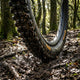 Continental Argotal Enduro Supersoft Faltreifen 60-622 (29x2