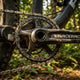 Race Face SRAM 3-bolt Direct Mount Kettenblatt 30 Z., schwarz - präziser Antrieb für moderne MTB-Setups