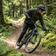 Maloja Hyb.Softshelljacke XLC Beifuss PrintedM.