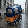 Babboe Curve Lastenrad mit blauem Regenverdeck. Schützt Kinder zuverlässig vor Regen und Wind. Perfekt für Familien bei jedem Wetter.