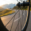 DT Swiss Competition Speiche 2.0/1.8 280mm schwarz, robuste Leichtbau-Speiche, am Fahrradrad auf Bergstraße.