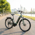 Winora TRIA X9 LOW E-Bike 'muted mantis'. Komfortabler Tiefeinsteiger mit 500Wh Akku für City und Tour.