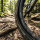 Schwalbe SV13XXL Fahrradschlauch 26 Zoll - Zuverlässiger MTB-Schlauch mit Sclaverand-Ventil