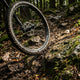 DT Swiss Laufrad X1900 SPLINE 29" 25 622x25 mm schwarz - robustes MTB-Hinterrad