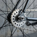 Silbernes Single Speed Ritzel SSP-tx 17 Zähne mit Kette am Fahrrad Hinterrad, Detailaufnahme.