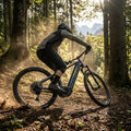 Haibike ALLTRACK 10 29 E-MTB XL mit Bosch CX 100Nm Motor, 800Wh Akku auf Waldweg. Fahrer wirbelt Staub auf.
