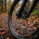 Voxom Scheibenbremsbeläge Bsc24 E-Bike Shimano XT XTR BR-M 985 organisch 2 Stück