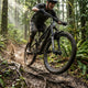 RockShox Steckblech Fender ZEB - Vorderrad Schutzblech kurz schwarz