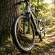 Schwalbe Faltreifen MARATHON ALMOTION 28x2.00 ETRTO 50-622 ADDIX RaceGuard Evolution Line TLE E-25 HS603