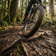 Grip Continental Magnotal Trail Grip Faltreifen ETRTO 60-622 (29 - 0 x 2 40"") - Tubeless Ready MTB-Reifen mit innovativem Grip