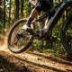 Miche Kettenblatt E-Bike XM G4