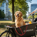 Carqon Smart Bar schwarz für Classic Cruise Lastenrad. Sichere Befestigung für Hundeleine und Zubehör.