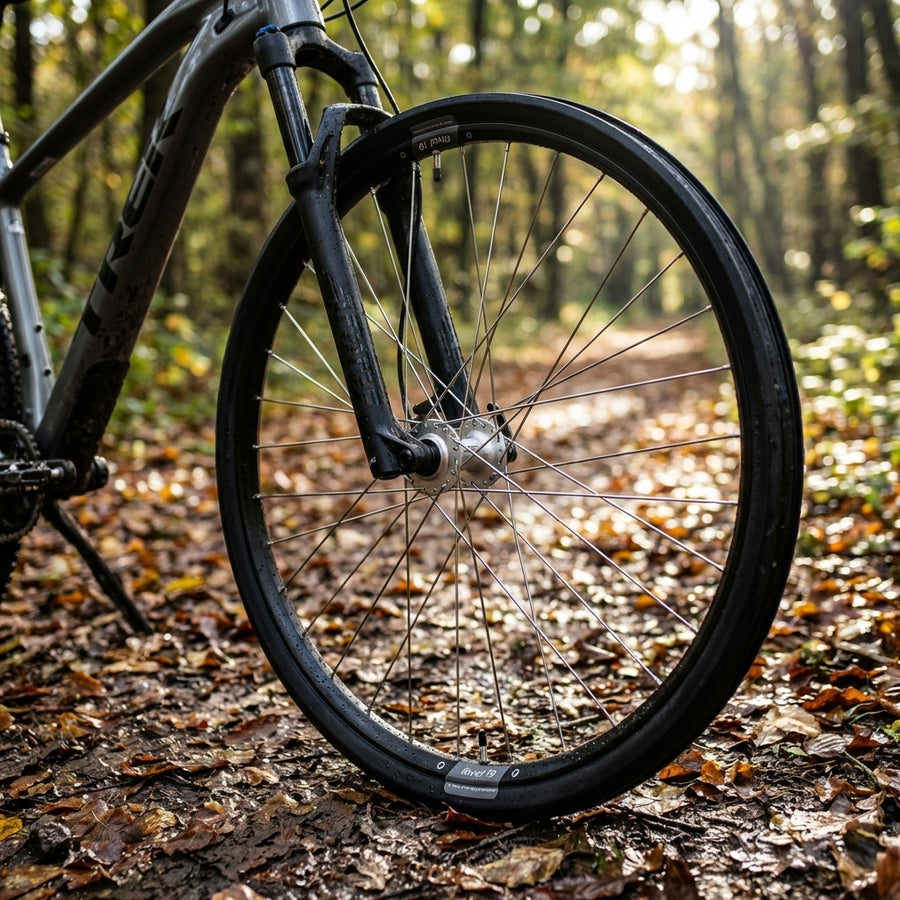 Vorderrad 29 Zoll Ryde Rival 19 Disc schwarz, silberne Deore Nabe mit Schnellspanner, Nirosta-Speichen auf Waldweg.